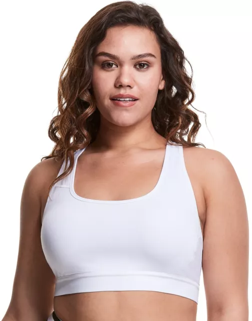 CHAMPION SPORTS BRA Plus Size Absolute Workout Gym Running Double Dry sz  2x-3x $22.50 - PicClick