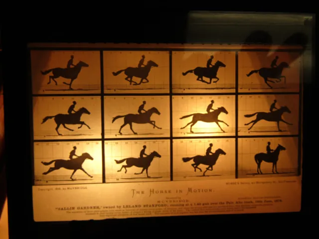Eadweard Muybridge, The Horse in Motion  Magic Lantern Glass Slide Negative