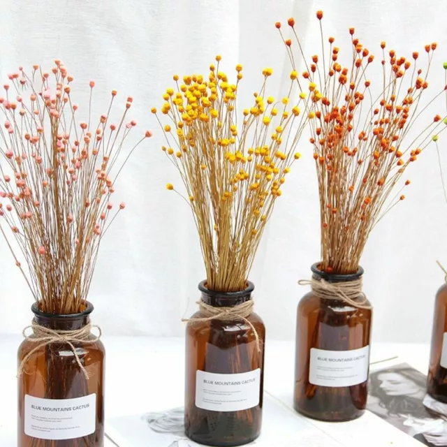 Real Happy Flower Small Natural Dried Flowers Bouquet Dry Flower Mini  Decorative