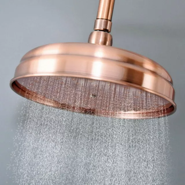 Antique Copper  Brass 8-inch Round Rainfall Shower Head Bathroom Rain Sprayer