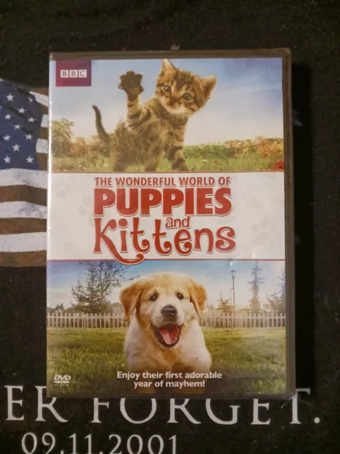 The Wonderful World of PUPPIES and KITTENS DVD BBC Cat Dog Pets Brand New