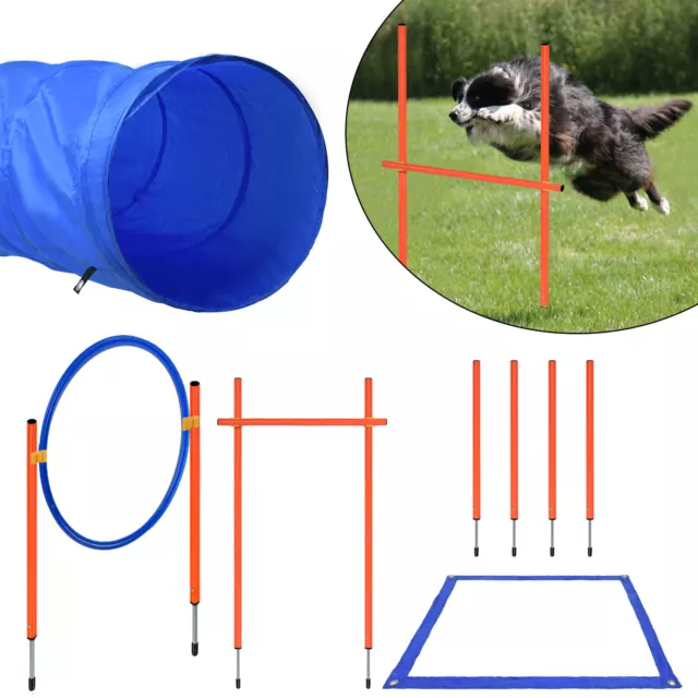Juego de agilidad de entrenamiento para perros entrenamiento anillos de salto túnel barras obstáculo 2022