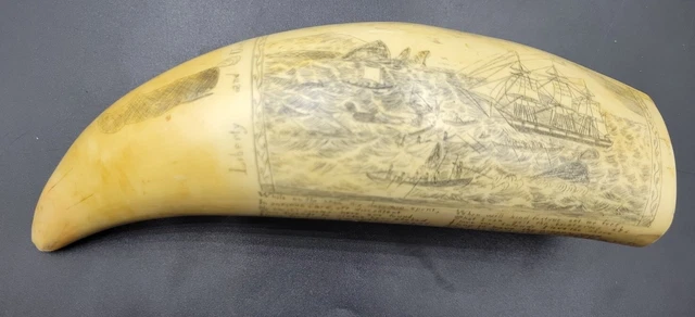 Vintage Scrimshaw Replica Artek Whaletooth Resin Liberty & Unity Clipper Ships