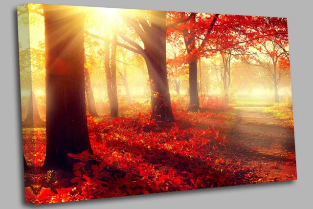 Red Autumn Tree leaves Canvas Wall Art Picture Print