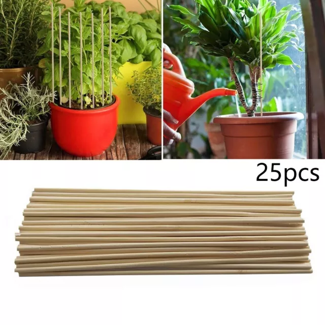 Bastoni di bambù per kit di supporto piante da giardino 25 pz per set di strume