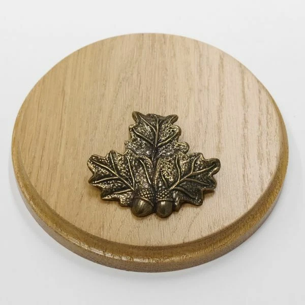 Placa de Jabalí Redondo Roble Helll Af 13 CM Gewaffbrett Escudo de Trofeo Con
