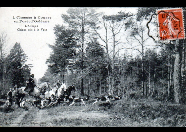 COMPIEGNE - Oise - CPA 60 - Chasse en Foret - Equipage du Francport - l