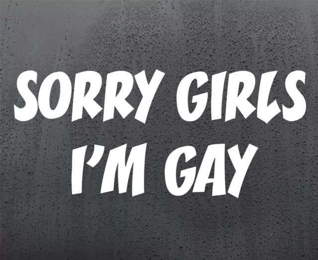 Sorry Girls Gay vinyl sticker funny car decal van window jdm dub graphics bumper