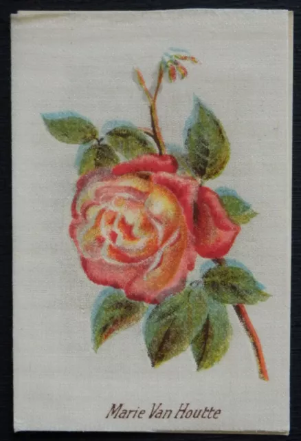 MARIE VAN HOUTTE Some Beautiful Roses issued 1924 African Tobacco Silk SCARCE