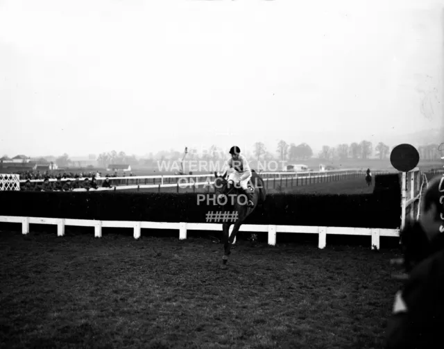 Arkle Pat Taaffe 1966 Gold Cup Cheltenham Festival Photo Horse Racing