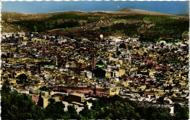 CPA AK FEZ - Panorama of the Old Town MOROC (796378)