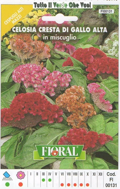 Semi Celosia Crestata Miscuglio - 100 Semi Per Fiori Da Taglio O Bordure, Altezza 60-100 Cm, Esposizione Pieno Sole