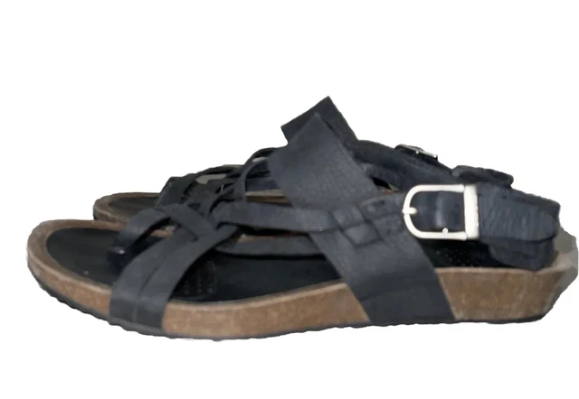 Teva ysidro extension deals
