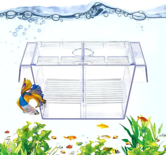 Fish Breeding Box Aquarium Holding Tank Transparent Fish Isolation Box Acclimati