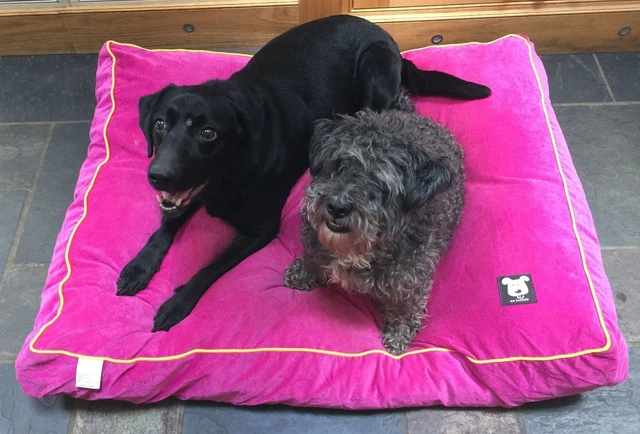 Dog beds by Mr Barker cushion bed pet bed available in 2 sizes and 3 colours