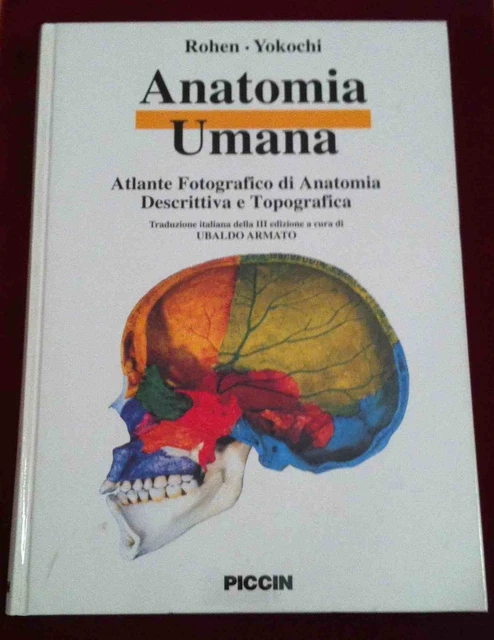 Set 6 Poster Anatomia Umana - Formati A3 E A4, Per Studio E Decorazione Nordica - Foto 4