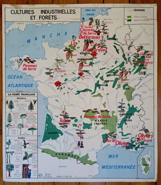 🌎Ancienne carte scolaire MDI 11-12, 1960 - France : Garonne, Agriculture forêts