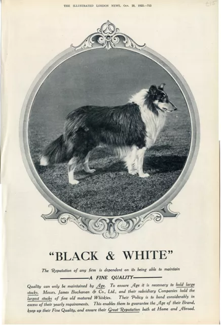 ROuGH COLLIE LASSIE SHEEPDOG SCOTTISH DOG ANTIQUE PRINT Black & White Whisky Ad