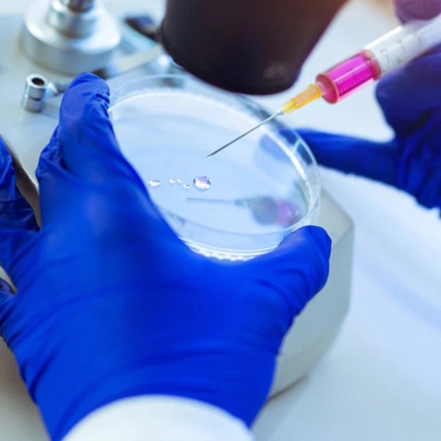 10 Piastre Di Petri Con Agar - Diametro 7 Cm, Per Esperimenti Scientifici E Educativi, Pre-Colate - Foto 6