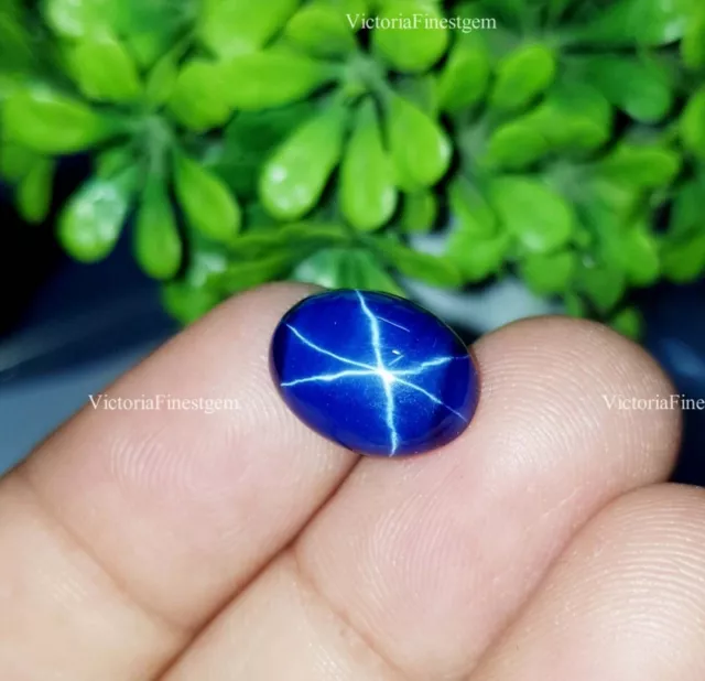 8.35 Ct Naturel Bleu Lindy Star Saphir 6 étoiles Forme Ovale Pierre...