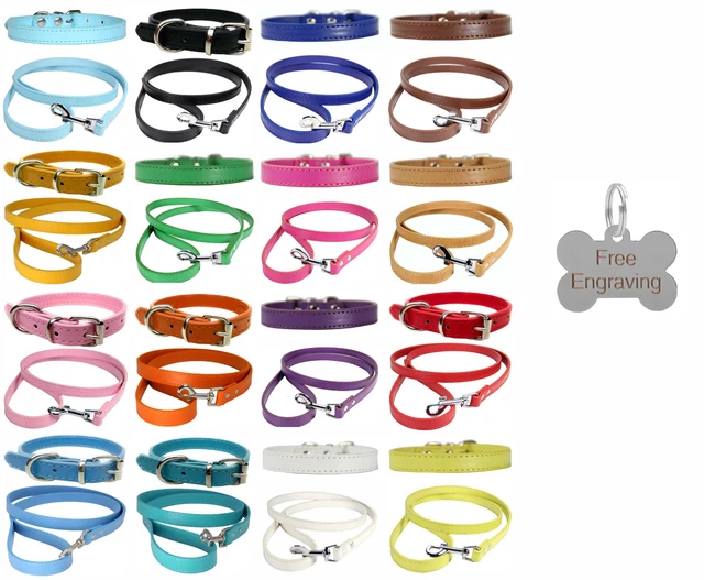 VIBRANT LEATHER DOG Collar & Lead Set With Personalised Engraved Bone