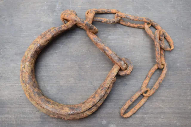 Rare 19th Century Wrought Iron Horse Shackle / Equestrian Interest / Stable