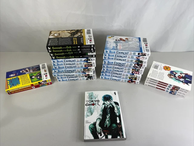 JOBLOT 27 X livres manga exorciste bleu, séraphin de la fin, avant