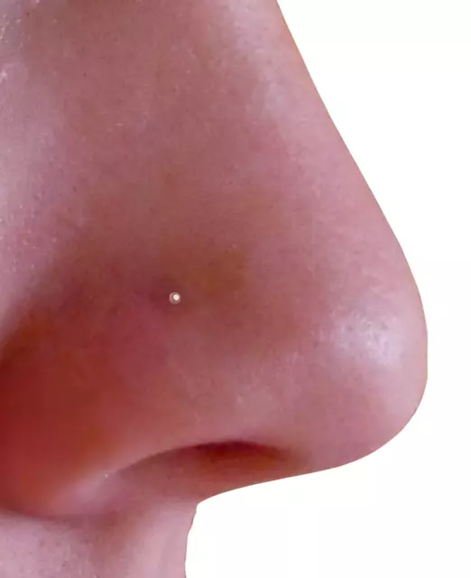 SMALL NOSE STUD Tiny 1mm Ball 22g 0.6mm 925 Silver 10mm Straight L Bendable Uk 3.49 PicClick UK