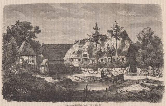 Schleswig-Holstein Enthologie Original Grabado en Madera Worms 1865