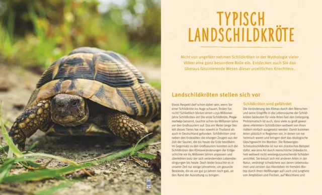 Landschildkröten | Fit und gesund durchs Leben | Hartmut Wilke | Taschenbuch 3