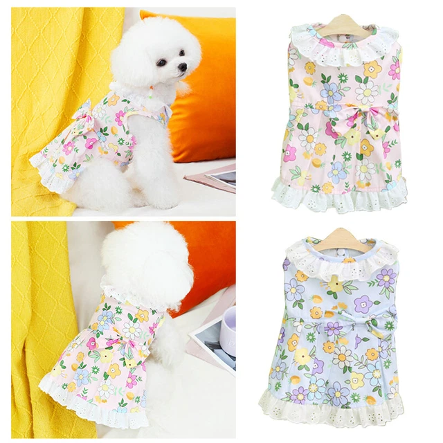 Hund Rock Haustier Prinzessin Blume Schleife Kleid Freizeit  ,