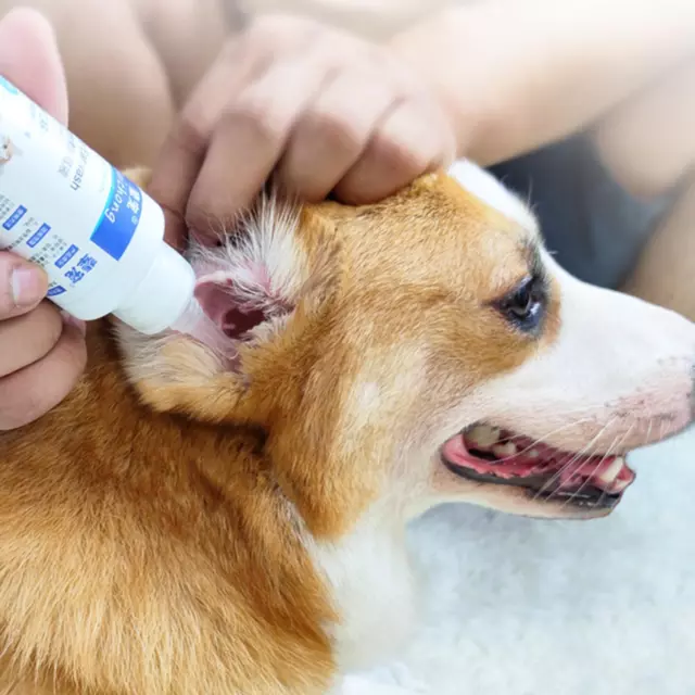 Pet Ear Drops Health avec une solution de lavage facile à utiliser, le