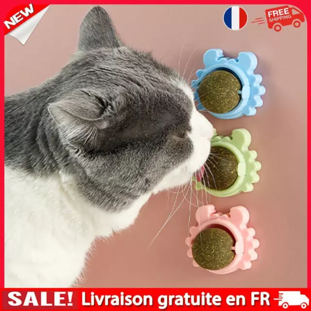 Jouets rotatifs pour friandises pour chat avec boule à lécher Catnip Snack Molar