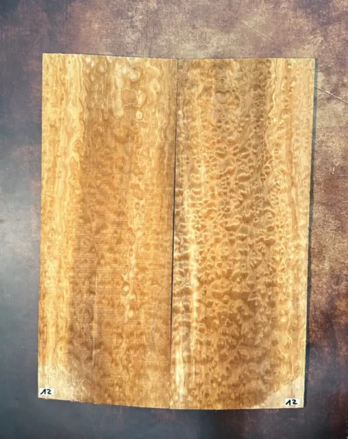 Muschelahorn Droptop 4A |  Quilted Maple Droptop 4A | Tonholz | Tonewood | #12