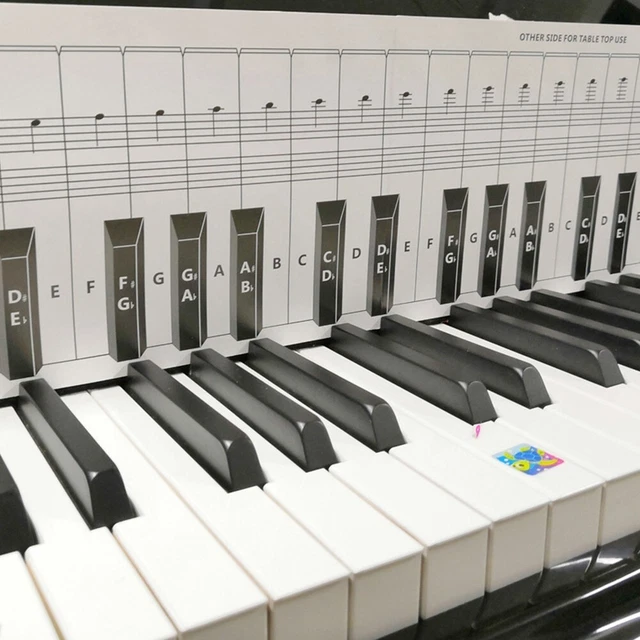 Coated Paper Piano Keyboard Keyboard Note Chart Piano
