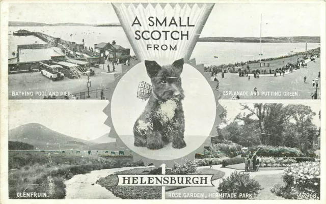 Small Scotch From Helensburgh Scotty Dog UK Winston Churchill Postcard