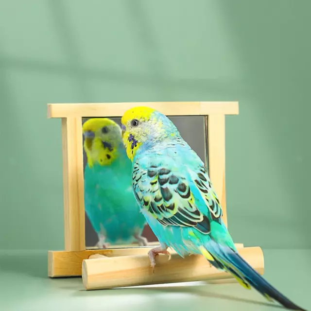 Miroir à oiseaux pour Cage, jouet suspendu pour perroquets avec miroir pour