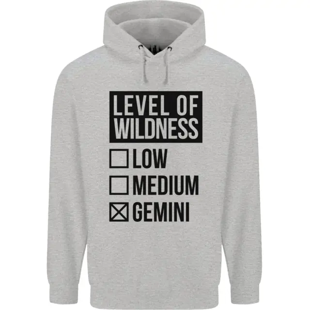 Levels of Wildness Gemini Mens 80% Cotton Hoodie