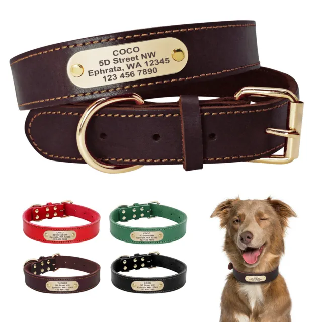 Collare Per Cani Medaglietta Personalizzato Nome e Numero in Vera Pelle XS S M L