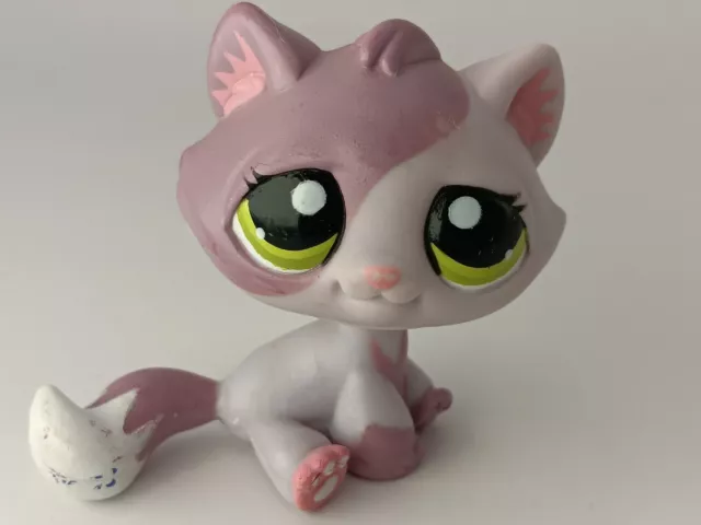 petshop authentic LPS Chat Non Européen No European Kitty Cat rare #1660 hasbro