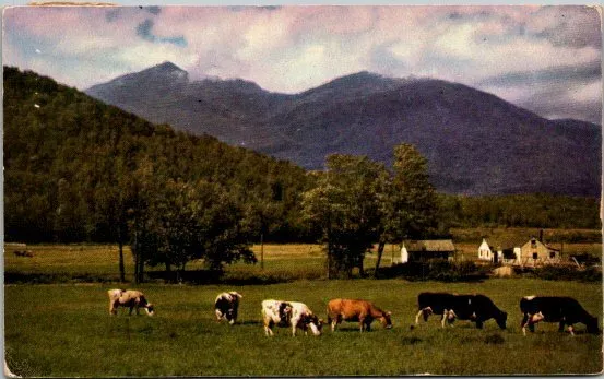 Greetings from Sanbornville, New Hampshire postcard