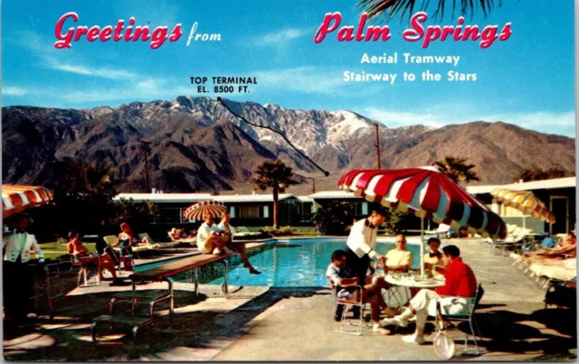 1955 Living The Good Life By The Pool Palm Springs California Vintage Postcard