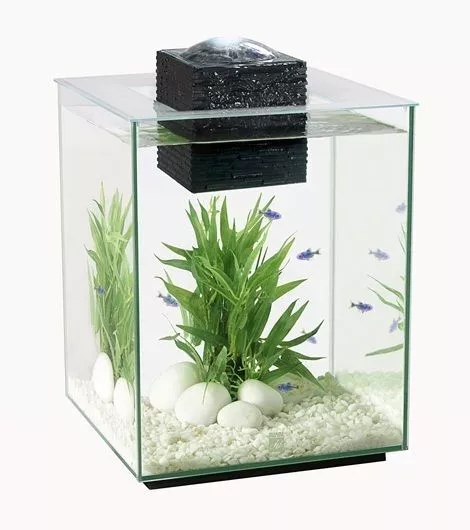 Fluval Chi 19L Aquarium With Led Light Lighting Latest Version Hagen Fish Tank