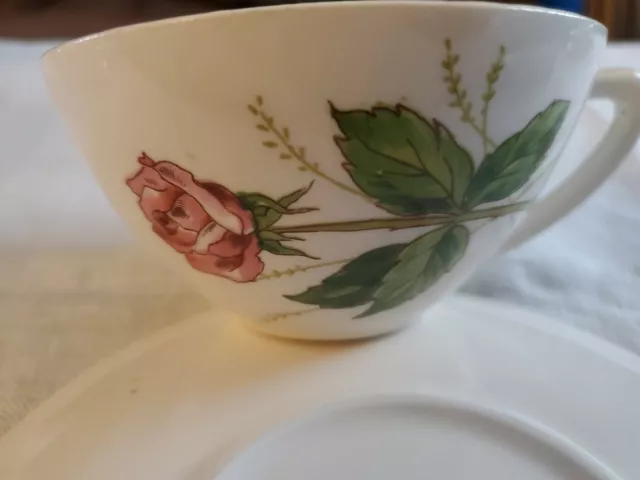 Edwin Knowles Tea Rose Tea Cup Made in USA 1950s MCM Vintage Coffee Cup