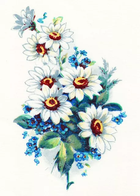 Calcomanías de cerámica tobogán acuático blancas flores azul margarita 4 piezas 2-1/4"" X 1-1/2"" Xx