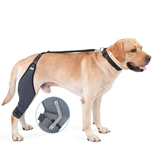 Dog Knee Brace, 8 Sizes Canine Dog Elbow Brace Knee Immobilizer Support with
