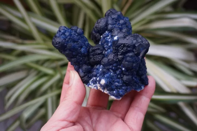 286g beautiful Natural Blue Fluorite and Quartz crystal Amazing mineral specimen