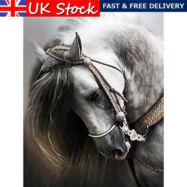 11CT Full Cross Stitch Horse Counted DIY Cotton Thread Needlework Animal Arts #F