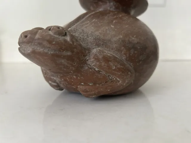 Mexico Colima 250 BC -250AD Frog Sprouted Vessel In Brown Slip