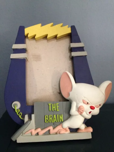 Pinky and The Brain 1997 Warner Bros Store Exclusive “The Brain” Picture Frame